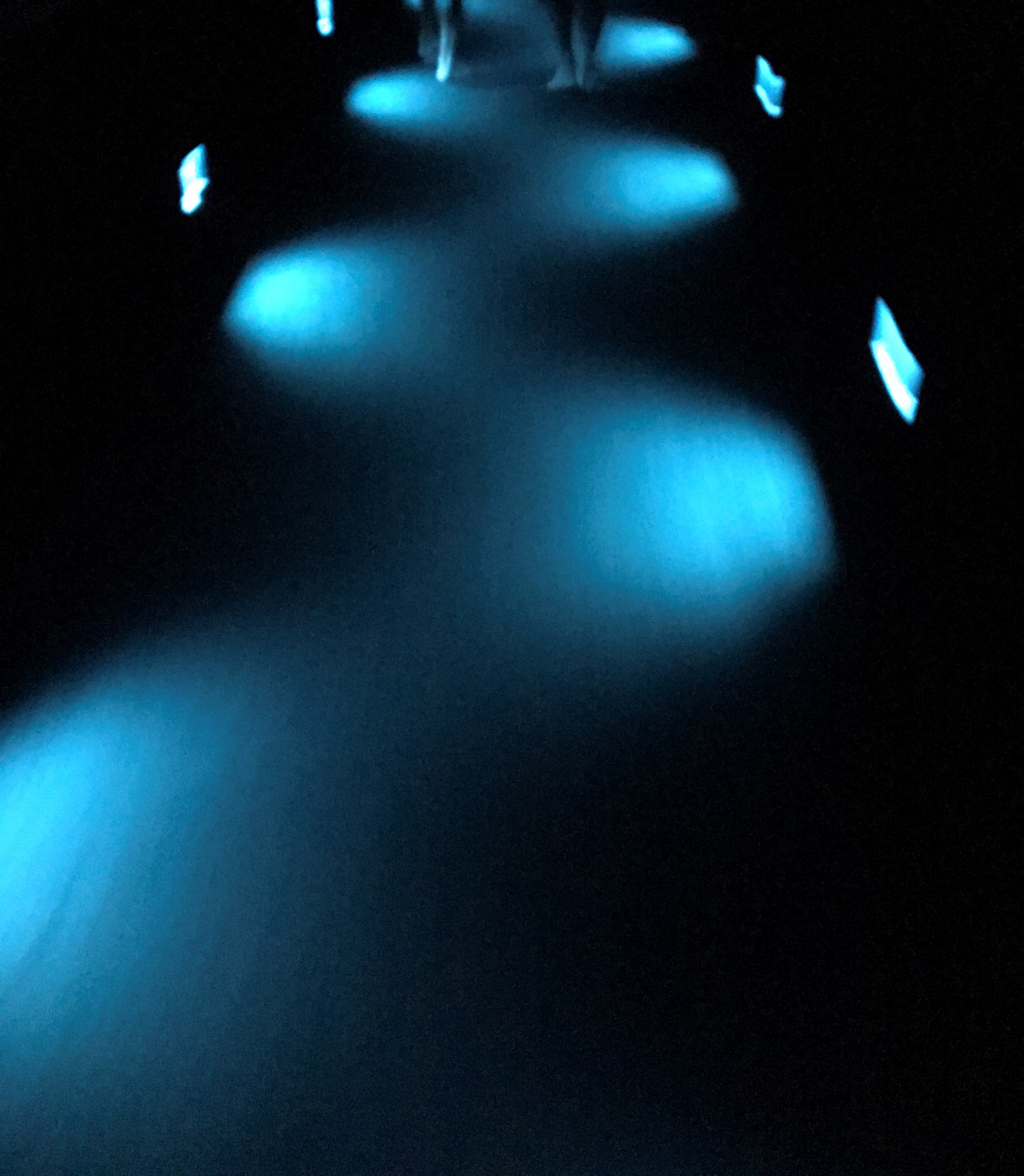 チームラボ たまプラーザのサロン リッカレンネのブログ